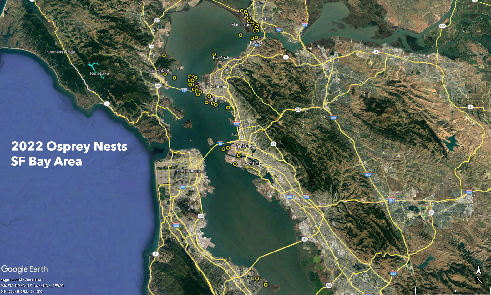 Bay Area Osprey Nests for 2022